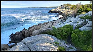 Herring Cove Provincial Park Hiking Trail