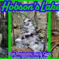 Hobson's Lake Hiking Trail