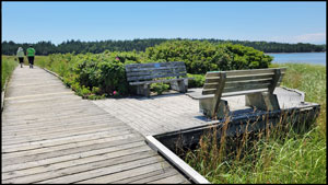 MacCormacks Beach Provincial Park Boardwalk