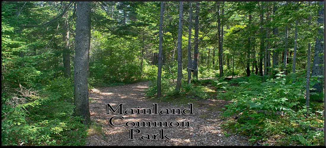 Mainland Common Park in Halifax, Nova Scotia