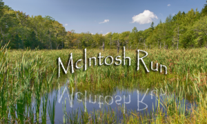 McIntosh Run Community Trail