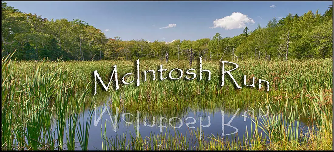 McIntosh Run Community Trail in Halifax, Nova Scotia