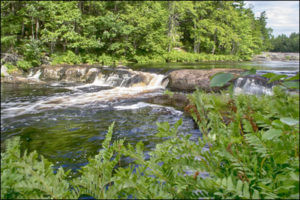 Mill Falls Beech Grove Hiking Trail Kejimkujik National Park Nova Scotia