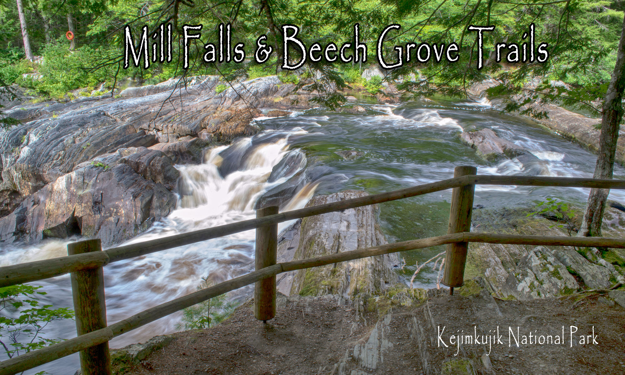 Mill Falls Trail