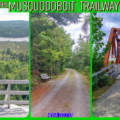 A three-panel collage showcasing The Musquodoboit Trailway in Nova Scotia, featuring a panoramic forest lookout, a wooded gravel path with a bench, and a historic red steel trestle bridge over the river