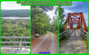 A three-panel collage showcasing The Musquodoboit Trailway in Nova Scotia, featuring a panoramic forest lookout, a wooded gravel path with a bench, and a historic red steel trestle bridge over the river