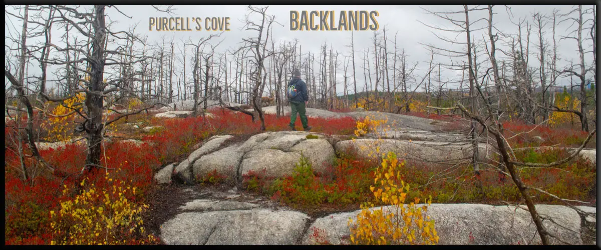 Halifax's Purcell's Cove Backlands