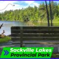 Wide gravel hiking trail at Sackville Lakes Provincial Park in Lower Sackville, Nova Scotia, winding through a lush green forest with tall trees and sunlight filtering through the canopy.