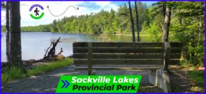Wide gravel hiking trail at Sackville Lakes Provincial Park in Lower Sackville, Nova Scotia, winding through a lush green forest with tall trees and sunlight filtering through the canopy.