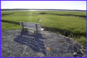 The Salt Marsh Trail in Dartmouth, NS