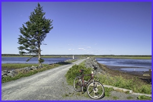 The Salt Marsh Trail in Cole Harbour, Nova Scotia