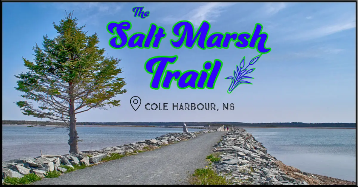 The Salt Marsh Trail in Cole Harbour, Nova Scotia