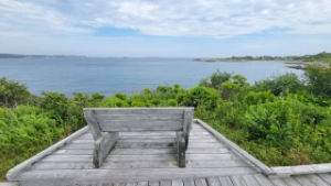 A weathered wooden bench on a boardwalk lookout at SS Atlantic Heritage Park, offering a wide view of the Atlantic Ocean and the rocky coastline of Terence Bay under a soft blue sky.