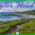 A hiker walks along the rugged, windswept coastal Headland Trail at Taylor Head Provincial Park in Nova Scotia, featuring dramatic rock cliffs, crashing Atlantic waves, and low-lying coastal barrens under a blue sky.