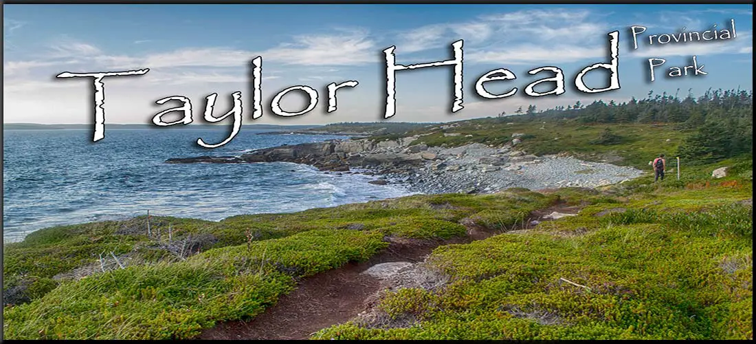 Taylor Head Provincial Park Virtual Tour