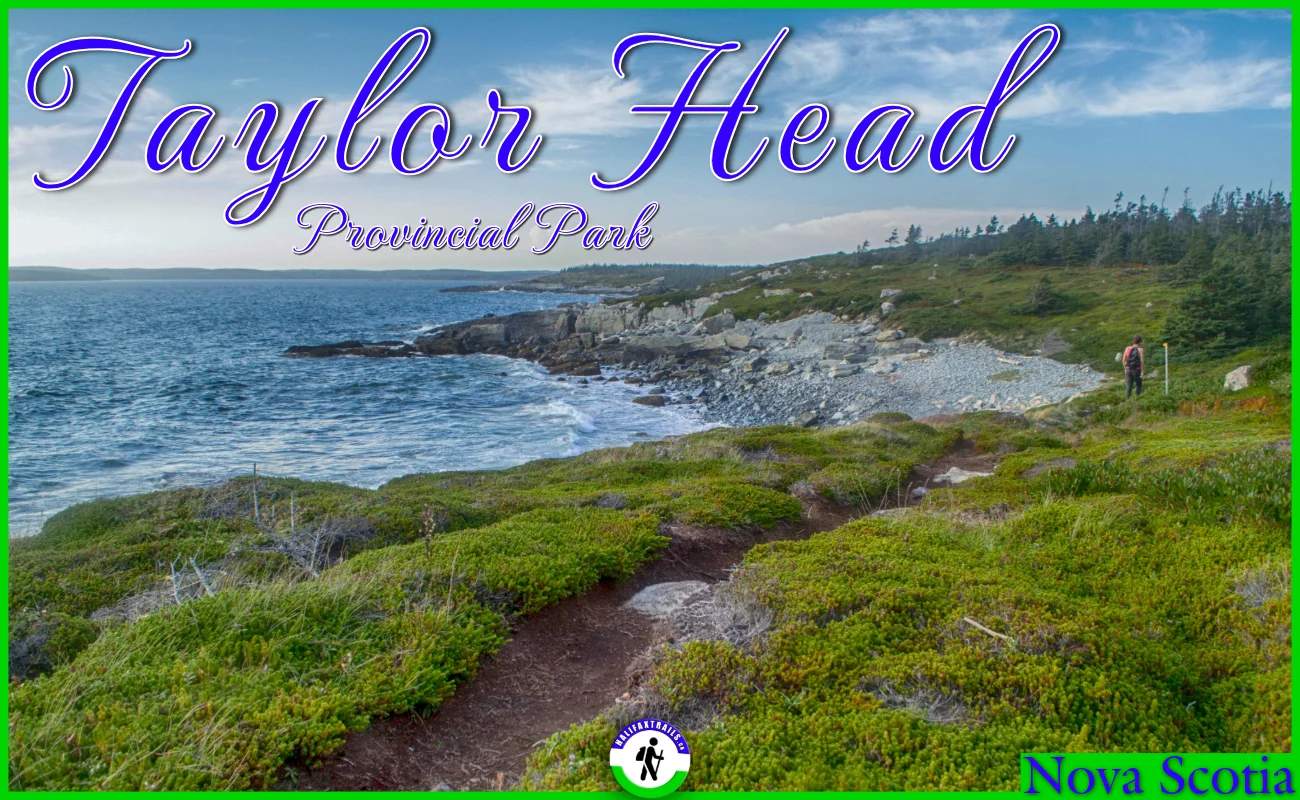 A hiker walks along the rugged, windswept coastal Headland Trail at Taylor Head Provincial Park in Nova Scotia, featuring dramatic rock cliffs, crashing Atlantic waves, and low-lying coastal barrens under a blue sky.