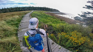 Taylor Head Hike - Provincial Park