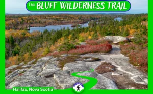 Vibrant autumn foliage in shades of orange and red surrounding the calm waters of Pot Lake on The Bluff Wilderness Hiking Trail in Timberlea, Nova Scotia, under a clear blue sky.