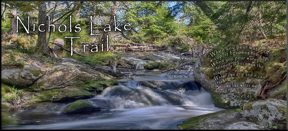 Nichols Lake hiking trails in Halifax, Nova Scotia