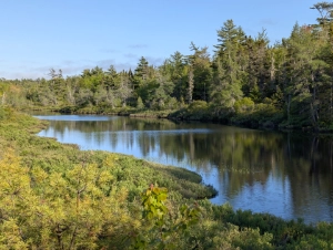 A calm river reflecting the surrounding forest and blue sky along the scenic Aspotogan Trail.