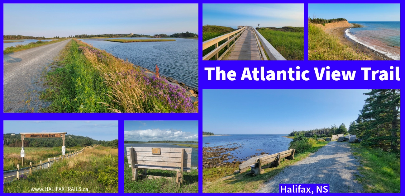 Photo collage of the Atlantic View Trail in Halifax, Nova Scotia, featuring a coastal gravel path, salt marshes, a wooden boardwalk, and a scenic rest bench.