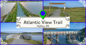 The Atlantic View Trail in Halifax, Nova Scotia