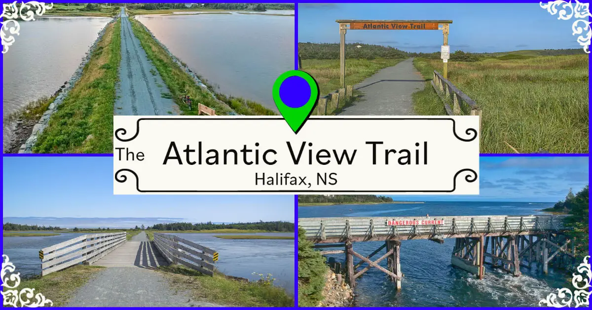 The Atlantic View Trail in Halifax, Nova Scotia