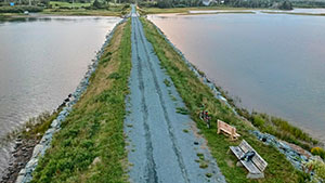 Atlantic View Trail Halifax Nova Scotia Photos