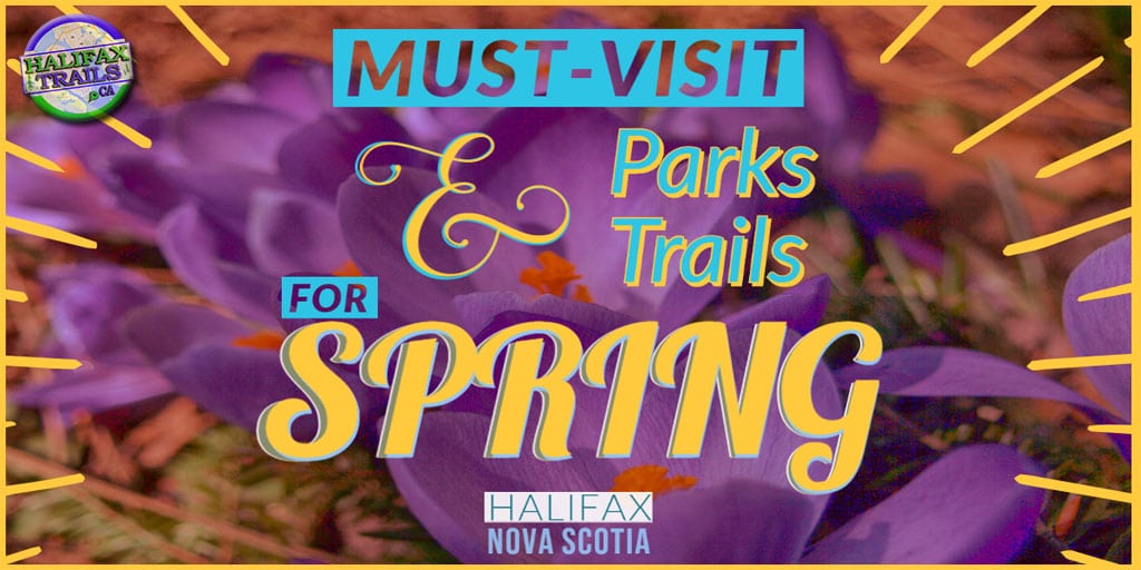 10 Must-Do Parks & Hiking Trails For Spring in Halifax, Nova Scotia
