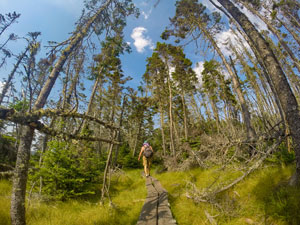 Gaff Point Hiking Trail in Lunenburg, Nova Scotia