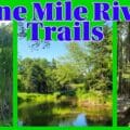 A collage of the Nine Mile River Trails in Nova Scotia featuring a scenic marshland view with tall cattails, a calm river reflecting lush green trees, and a hiker walking through a dense, sun-dappled evergreen forest.