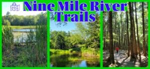 A collage of the Nine Mile River Trails in Nova Scotia featuring a scenic marshland view with tall cattails, a calm river reflecting lush green trees, and a hiker walking through a dense, sun-dappled evergreen forest.