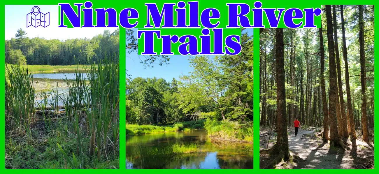 A collage of the Nine Mile River Trails in Nova Scotia featuring a scenic marshland view with tall cattails, a calm river reflecting lush green trees, and a hiker walking through a dense, sun-dappled evergreen forest.