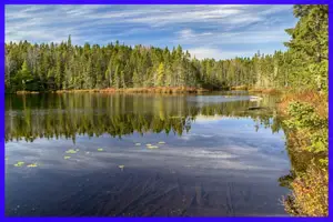 nine mile river trails comeau lake