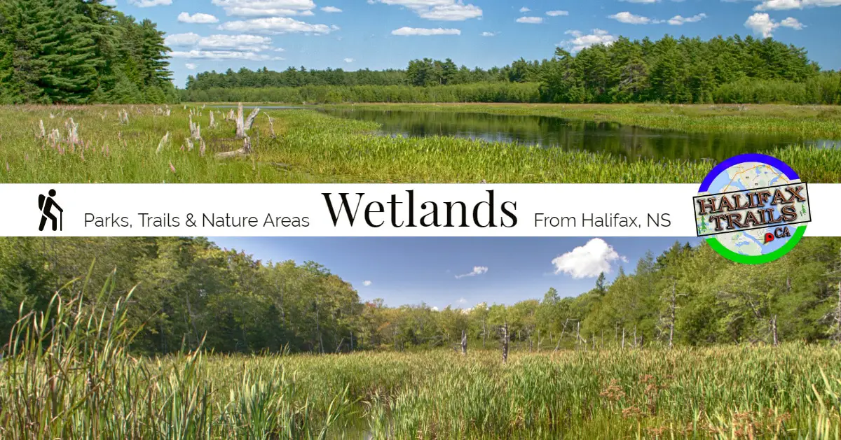 Wetlands Nova Scotia Parks, Trails & Nature Areas HalifaxTrails.ca