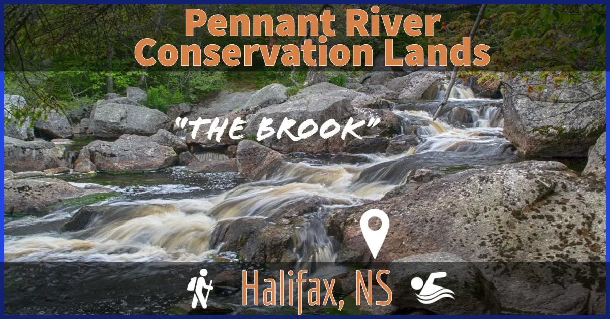 Pennant River The Brook in Halifax, Nova Scotia
