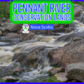 Pennant River Conservation Area in Prospect, Nova Scotia