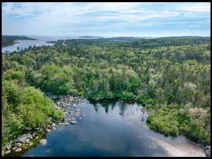 Pennant River Conservation Area Sambro Nova Scotia Hiking