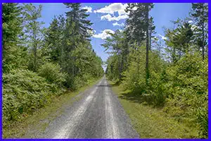 Scenic crusher dust trail through lush forest and marshy wetlands on the Shearwater Flyer Trail near Morris Lake