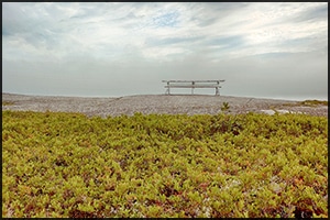 West Dover Hiking Trails in Halifax, Nova Scotia