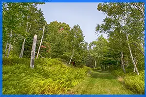 McNabs Island Provincial Park Hiking Trails - Halifax, Nova Scotia