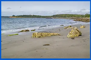 McNabs Island Provincial Park Hiking Trails - Halifax, Nova Scotia