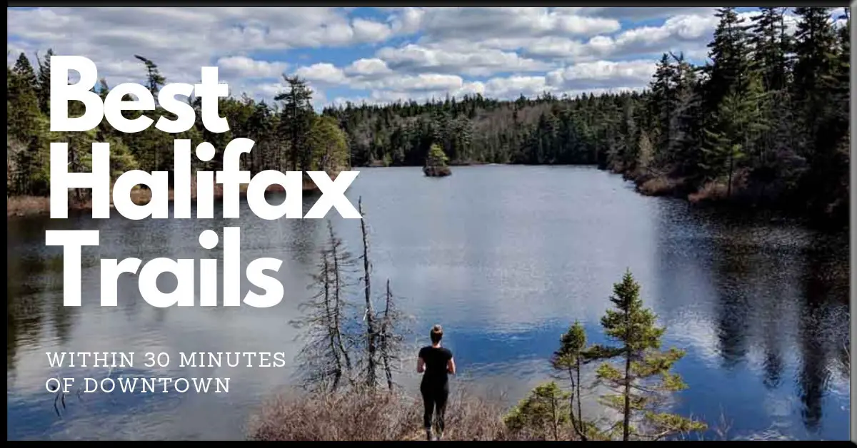 Best Halifax Hikes within 30 Minutes of Downtown