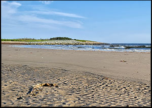 Martinique Beach Provincial Park, Nova Scotia