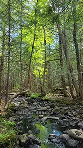 Webber Lake Falls Hiking Trail