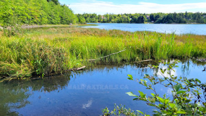 Webber Lake in Halifax, Nova Scotia