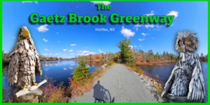 A promotional graphic for "The Gaetz Brook Greenway, Halifax, NS" featuring a scenic gravel trail bordered by water and autumn trees under a bright blue sky, with the shadow of a cyclist in the foreground. The trail photo is framed by two large wooden sculptures: an eagle on the left and an owl on the right