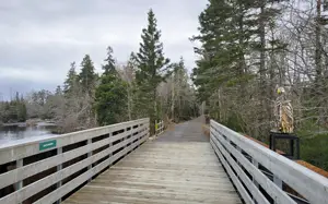 Gaetz Brook Greenway Bridge