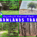 Farmlands Hiking Trail in Kejimkujik National Park