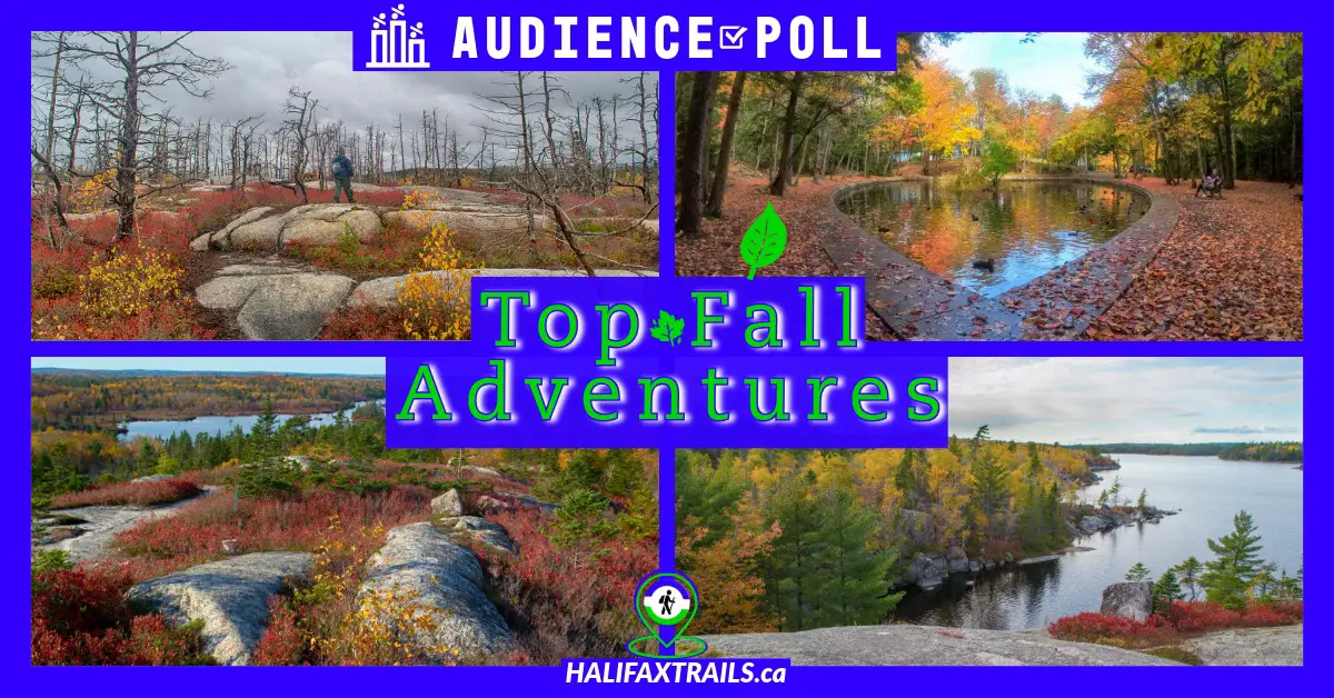 Best Fall Hiking Trails Near Halifax, Nova Scotia